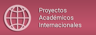 Proyectos Académicos Internacionales