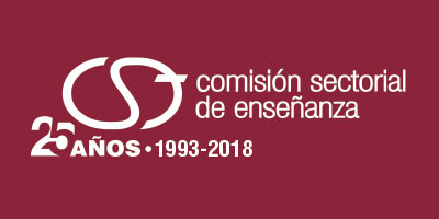 logo cse 25 años